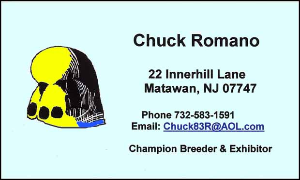 Chuck Romano