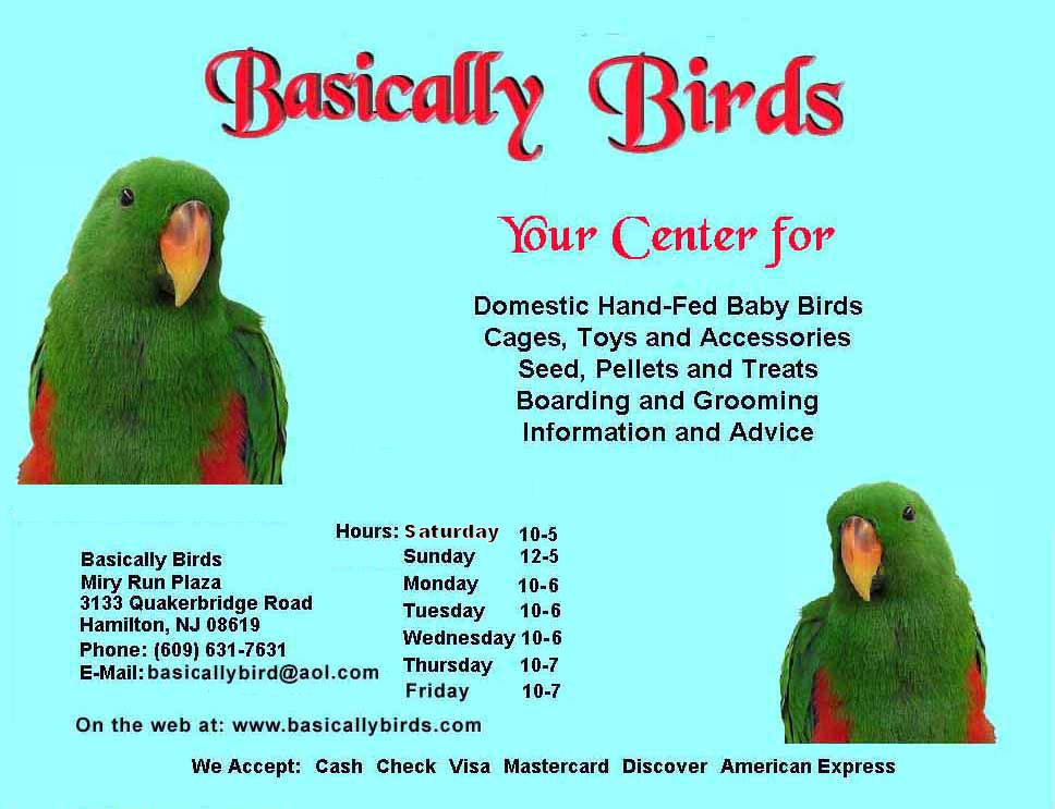 Basically Birds