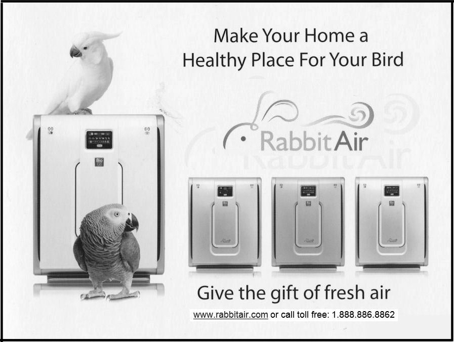 Rabit Air