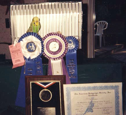 Staten  Island 1996 - Best Novice